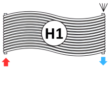 Lola | Stainless Steel Horizontal Hot Water Radiator